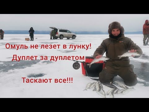 Видео: Килограммовые омули клюют дуплетами!!! попали на жор омуля на Байкале