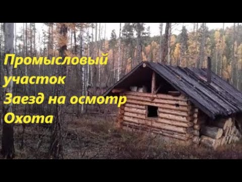 Видео: Промысловый участок. "Переговорный пункт". Центральная избушка. 1 серия.