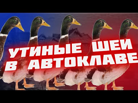 Видео: Утиные и гусиные шеи в АВТОКЛАВе   заготовка для супов в автоклаве