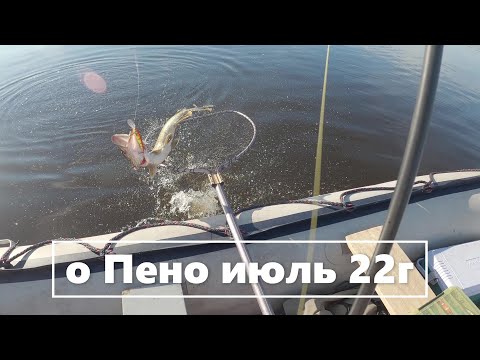 Видео: Рыбалка в Пено на Волге в июле