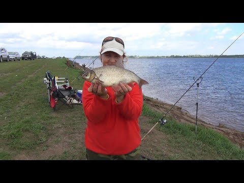 Видео: День Волги. Язи, лещи, субботник.