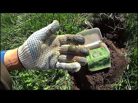 Видео: Поиск монет с Quest Q40. Зашёл на пашню, а там ОНА!!!