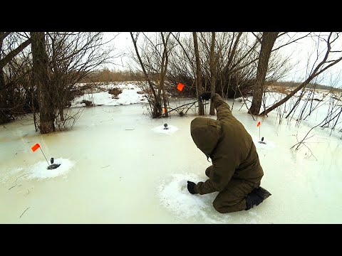 Видео: КАК ТАКОЕ ПРОИЗОШЛО! ОСТАВИЛ ЖЕРЛИЦЫ НА НОЧЬ И НЕ ПОВЕРИЛ ГЛАЗАМ. Удачная рыбалка.