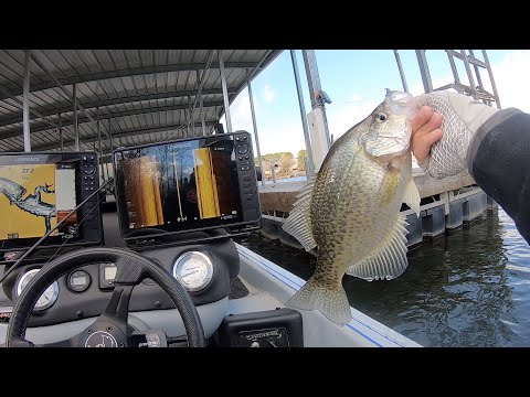 Видео: Охота на ДОКИ для БОЛЬШОГО зимнего КРАППИ + ЛАЙК БОКОВОЙ СНИМКИ!!!