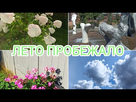 Видео: Лето ПРОБЕЖАЛО🇧🇻 Приготовила вкусняшку😋🧐 РАСПАКОВКА🛍️👍❤️