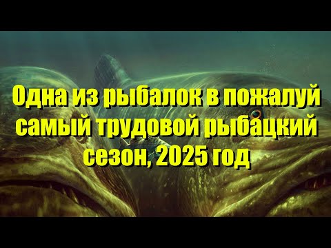 Видео: Одна из рыбалок на Чулыме в трудовой сезон 2025 года