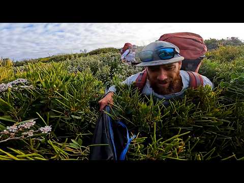 Видео: Ловля крупной рыбы на удаленном выступе