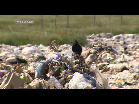 Видео: Тираспольский мусор едет в Парканы