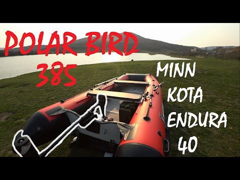 Видео: ПВХ Лодка Polar Bird 385, электромотор Minn Kota endura 40, пайольный пол из стеклокомпозита!
