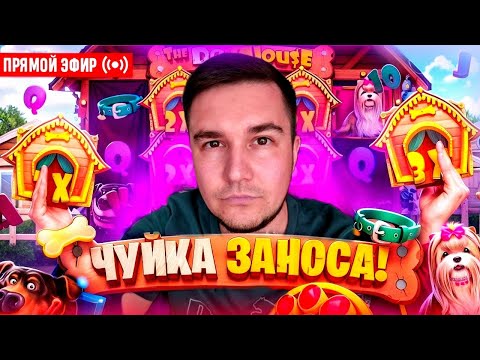 Видео: всем привет я тут новенький