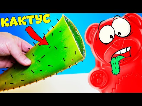 Видео: НИКОГДА НЕ ЕШЬ МОРОЖЕНОЕ ИЗ КАКТУСА !!! ЛУЧШИЙ РЕЦЕПТ МОРОЖЕНОГО )