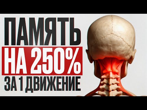Видео: ЭТА точка УЛУЧШИТ память на 250%, зрение на 300%! Простое упражнение для улучшения кровотока