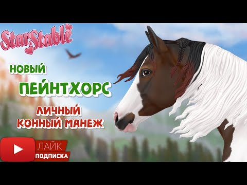 Видео: Спойлеры на месяц в Star Stable | Новый Пейнтхорс | День Рождения SSO | Бесплатная лошадь