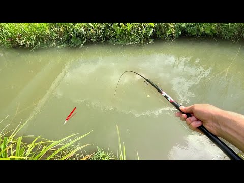 Видео: ДОШЁЛ ДО УЗКОГО РУЧЬЯ...ЛАПТИ ПРУТ ПОПЛАВОК! ЗОЛОТЫЕ на УДОЧКУ! Рыбалка на карася 2025