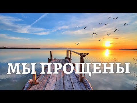 Видео: Мы прощены | Раввин Михаил Финкель