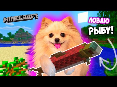 Видео: ПОЙМАЛА  ПЕРВУЮ РЫБУ В МАЙНКРАФТ | ЭЛИСОК РЫБАК В MINECRAFT