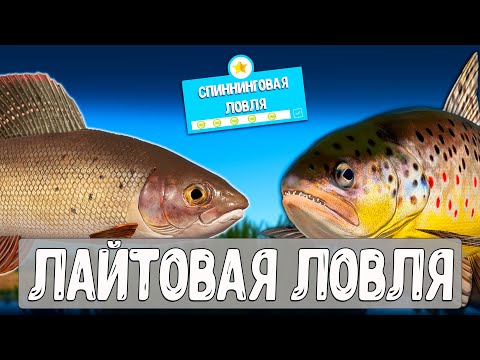 Видео: 🔴 РР4/ рыбалка для души, ловим как универсал, общаемся 01.11.2025