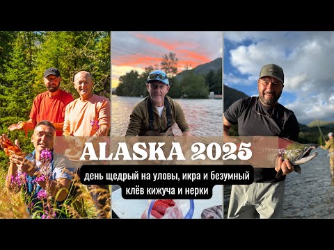 Видео: Аляска. День 3: день щедрый на уловы, икра и безумный клёв кижуча и нерки.