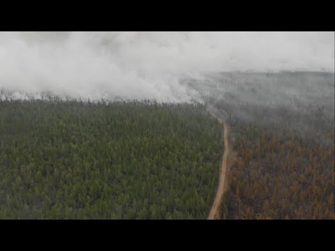 Видео: Тушим лесной пожар в Якутии Yakutia