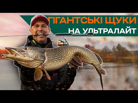 Видео: ГІГАНТСЬКА ЩУКА З ПЕРШОГО ЗАКИДУ! Осіння ловля щуки на річці