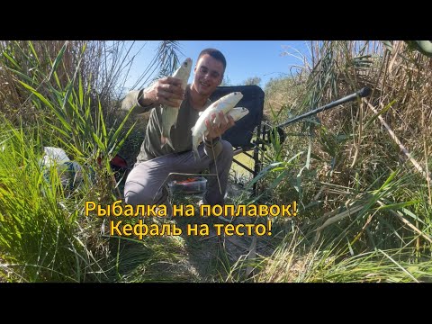 Видео: Рыбалка на поплавок! Как в детстве! Рыба вырывает удочку с рук!!!