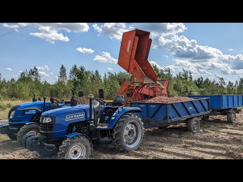 Видео: Оце так урожай з1,5соти 1т картоплі 🇺🇦2023🇺🇦