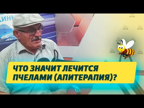Видео: Что значит лечится пчелами (апитерапия)?