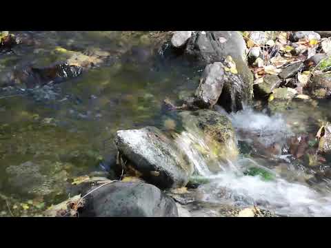 Видео: 11  А Құдайбергенов   Көне Тараз күмбірі