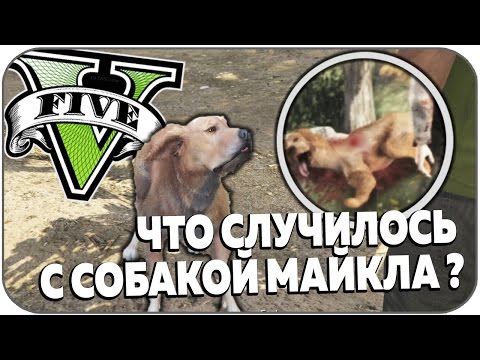 Видео: ЧТО СЛУЧИЛОСЬ С СОБАКОЙ МАЙКЛА В GTA V