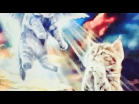 Видео: asmr рандом триггеры +обсуждение мерзотностей 