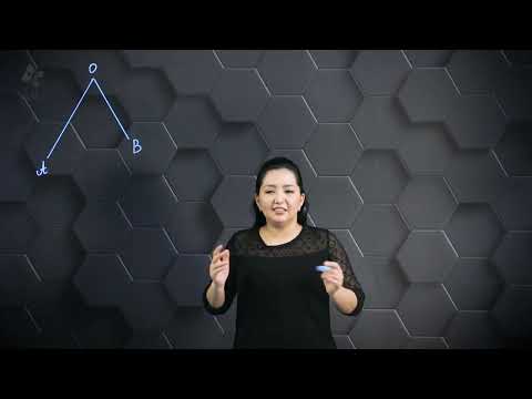 Видео: Іштей және сырттай сызылған төртбұрыштар. Практикалық бөлім. 9 сынып.