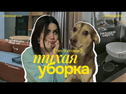 Видео: 3 часа уборки за 10 минут *без слов* // было очень грязно! // мотивация на уборку