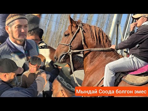 Видео: БАЗАРЫ КАЙНАГАН НООКАТ  ЖЫЛКЫ БАЗАРЫ УКМУШ КЫЗЫДЫ  АДЫЛ ава  ТЕРДИ 