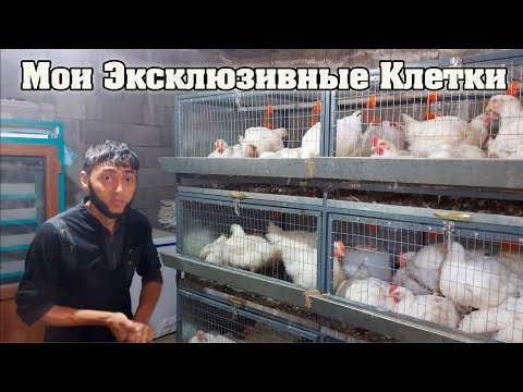 Видео: Мои Эксклюзивные Клетки для Бройлеров!!!