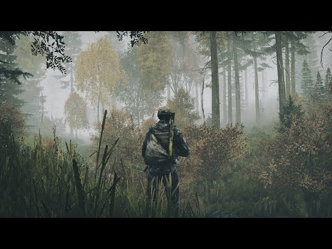 Видео: 🔥Dayz - Выживание от первого лица🔥1pp стрим