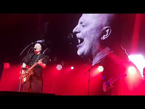 Видео: 13. Вадим Самойлов - На счастье - Пушкин СПб - 31.10.2024