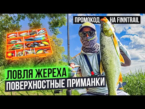 Видео: ОТКРЫТИЕ СЕЗОНА! ЛОВЛЯ ЖЕРЕХА НА ПОВЕРХНОСТНЫЕ ПРИМАНКИ!