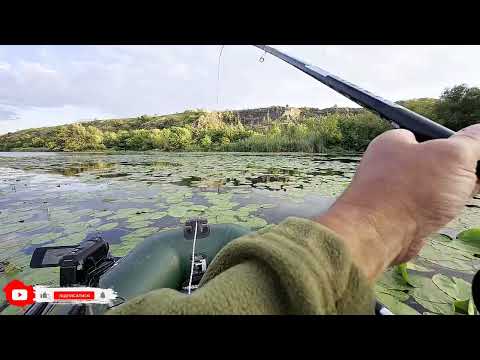 Видео: Південний Буг. Боковий кивок. Нарешті карась.