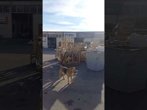 Видео: Отчет клиенту по отправке транспортной компанией ПЭК.