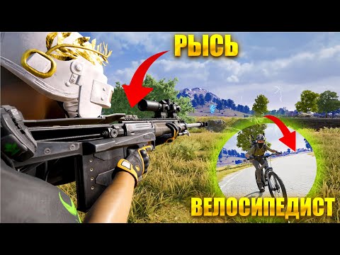 Видео: Не умею стрелять с АМR Рысь
