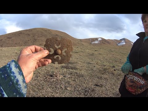 Видео: "Царский" день!
