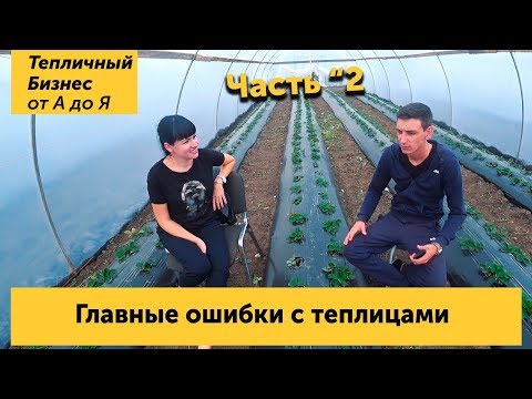 Видео: Маша и её теплицы. Часть 2