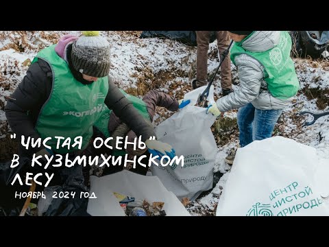 Видео: Иркутск, Субботник "Чистая осень" в Кузьмихинском лесу, 2024 год