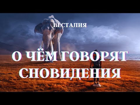 Видео: Как понять сновидения #сновидения #образыВОсне #Весталия #ШколаСорадение