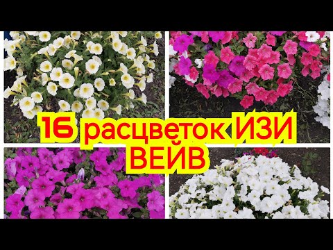 Видео: 16 расцветок ИЗИ ВЕЙВ, плюсы и минусы. Подробный обзор каждой расцветки, какую выбрать? август 2023