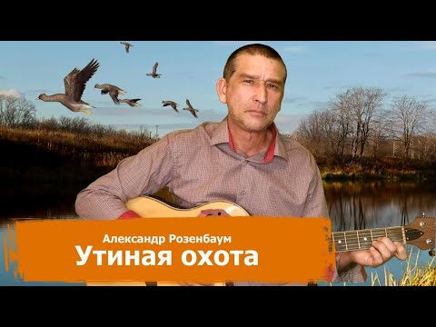 Видео: Александр Розенбаум - Утиная охота (кавер на гитаре)