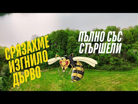 Видео: ГОРА ПЪЛНА СЪС СТЪРШЕЛИ! Къмпингуваме на яз. Йовковци