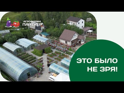 Видео: Вот это урожай! Обзор опытного участка Агрофирмы Партнёр 2023