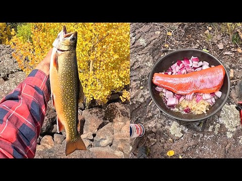 Видео: Кемпинг в дикой природе и рыбалка на форель!! ПОЙМАЙ И ПРИГОТОВЬ