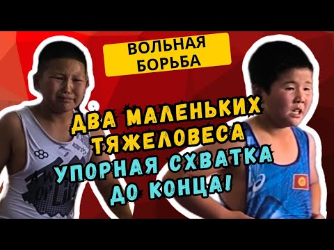 Видео: Сильный характер и упорство: поединок маленьких тяжеловесов #вольнаяборьба #эркинкүрөш #кыргызстан 